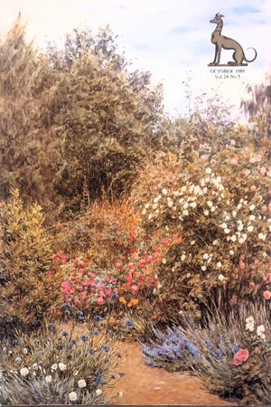 Antique Collecting October 1989