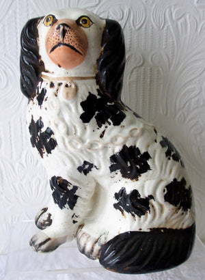 Black and White Staffordshire Spaniel H 2490 RH 1a