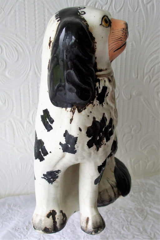 Black and White Staffordshire Spaniel H 2490 RH 1d