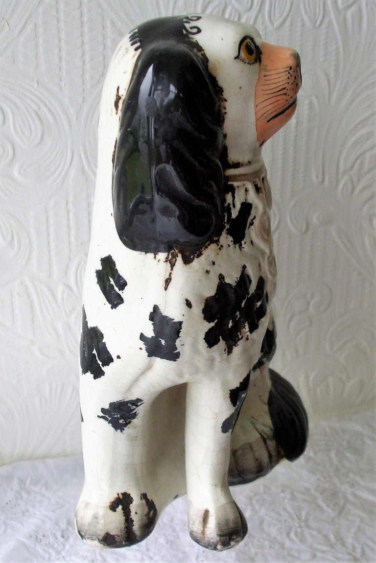 Black and White Staffordshire Spaniel H 2490 RH 1d