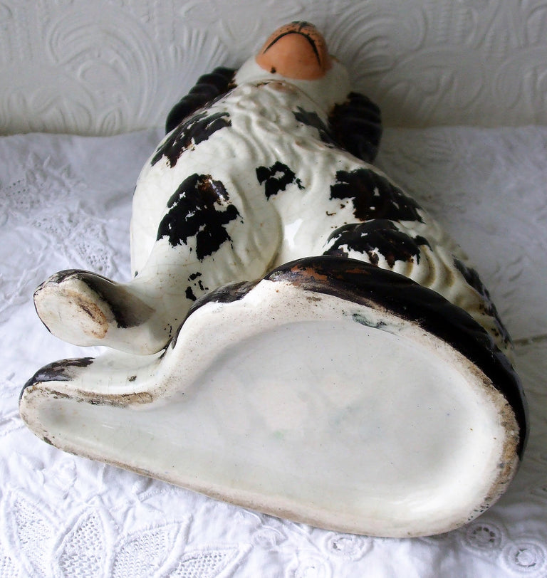 Black and White Staffordshire Spaniel H 2490 RH 1e