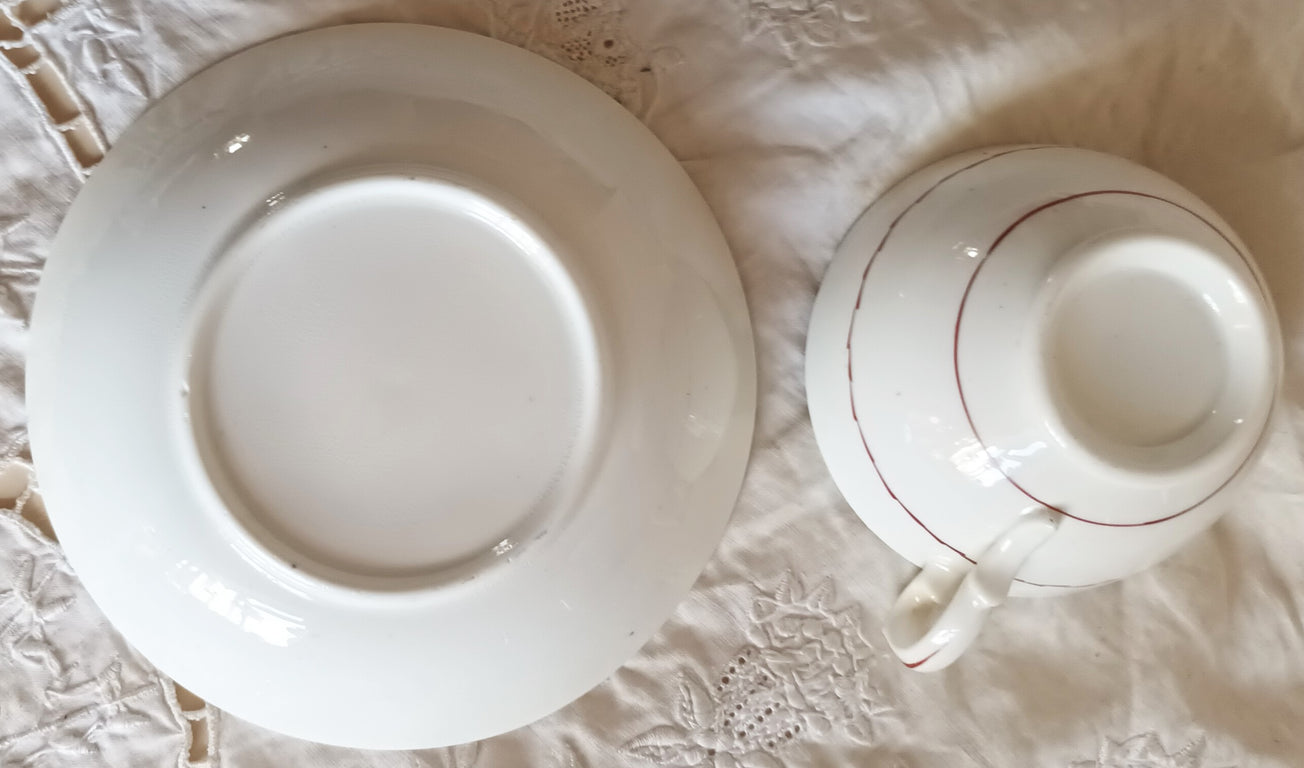 Columbine Tea Cup and Saucer 1d