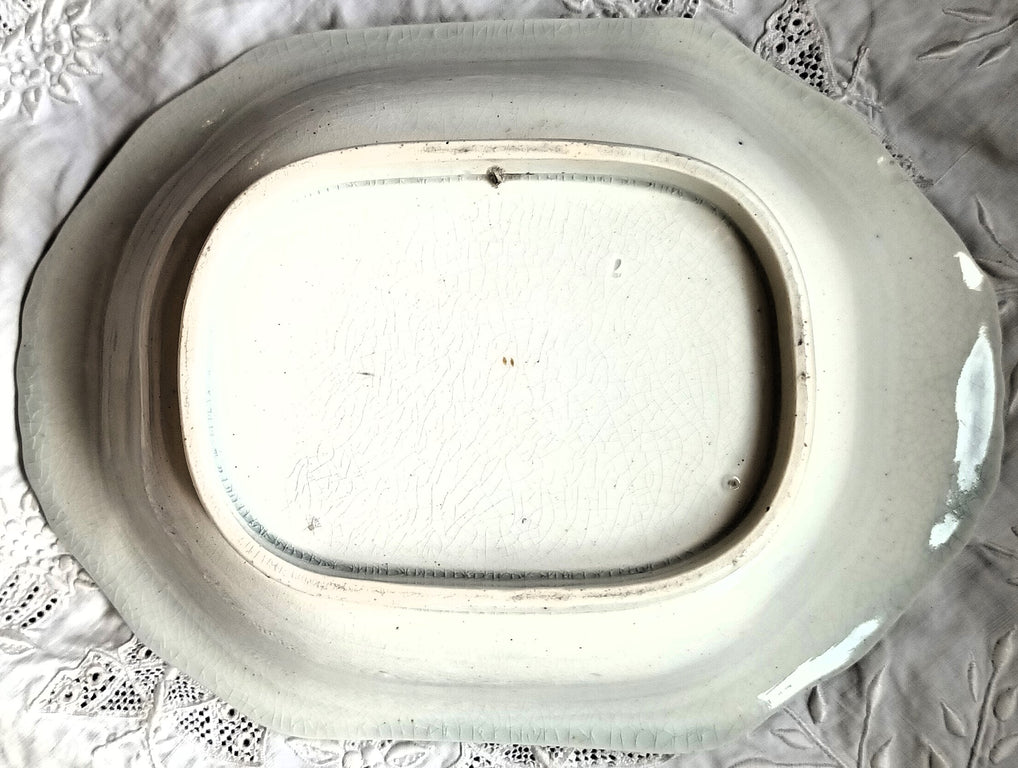 David Livingstone Dish 1b - AA Copy