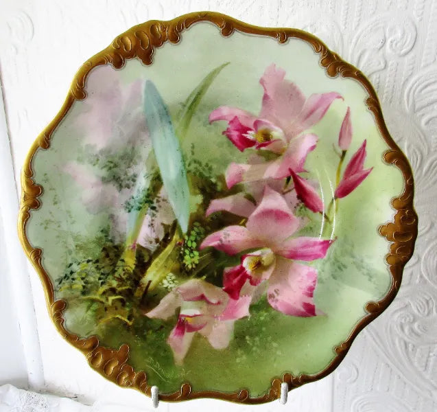 David Dewsberry Laelia Gouldiana Plate