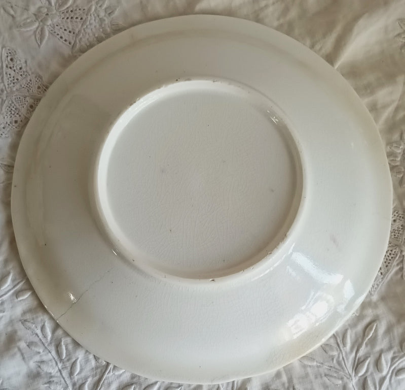 Drape Plate 1b