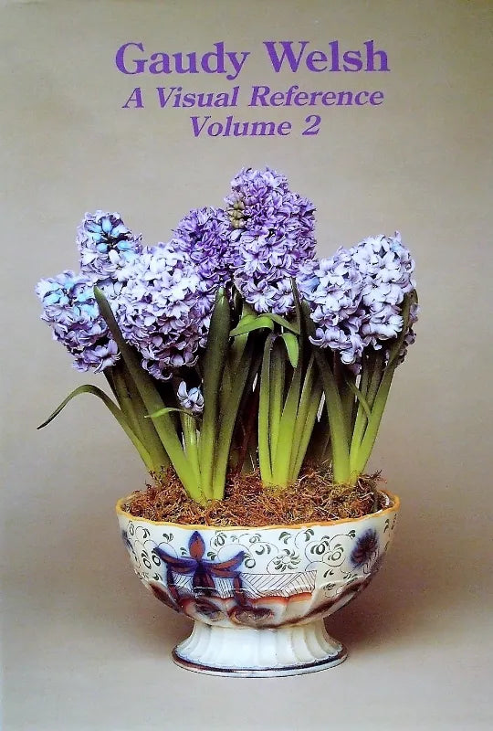 Gaudy Welsh ~ A Visual Reference ~ Vol. 2 ~ Monica A. South