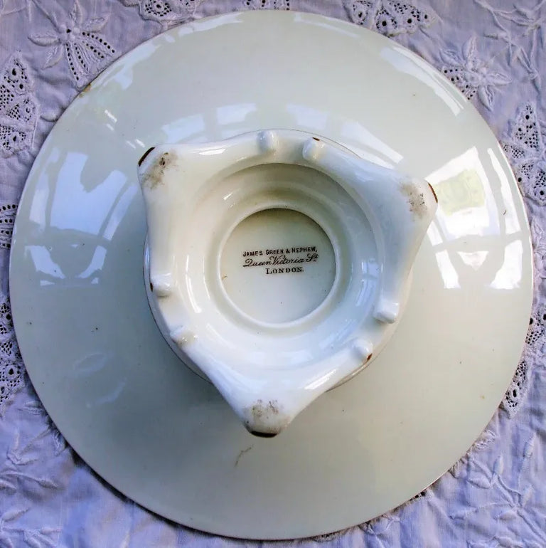 Antique Victorian Porcelain Botanical Dessert Service ~ Grainger, Worcester
