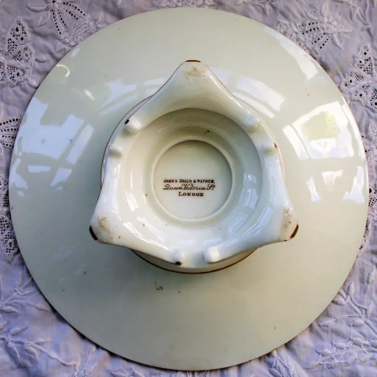 Antique Victorian Porcelain Botanical Dessert Service ~ Grainger, Worcester