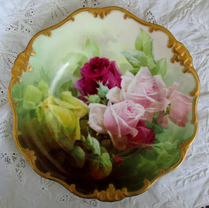 Harry Piper Roses