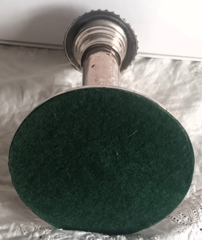 OSP Candlestick 1d