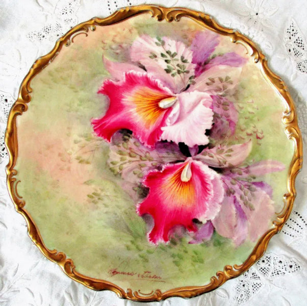 Royal Doulton Porcelain Plate ~ "Orchid ~ Brassolaeliocattleya"