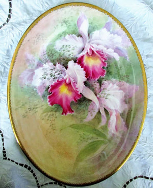 Porcelain Cabinet Dish ~ "Orchids ~  Brassolaeliocattleya Hybrids"