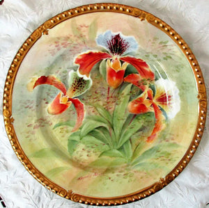 Porcelain Cabinet Plate ~ "Orchid ~ Paphiopedilum insigne"