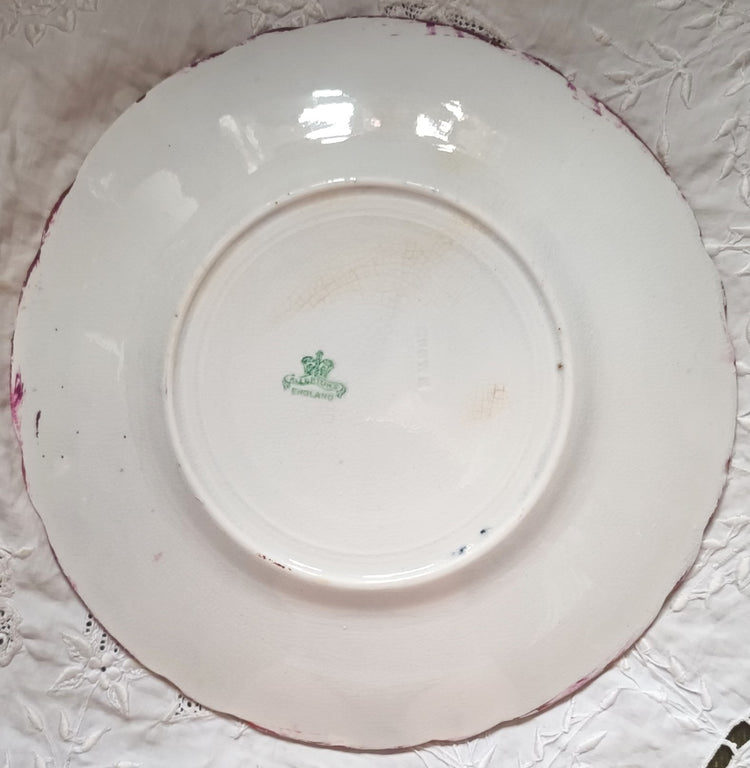 Oyster Dessert Plate 1b