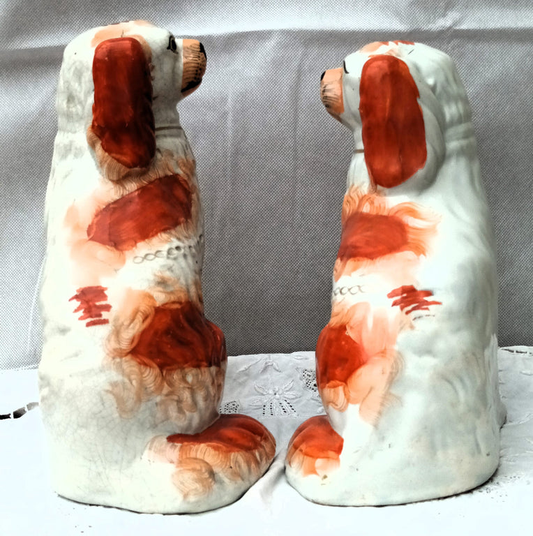 Pair Spaniels H2418 and H2477 1d