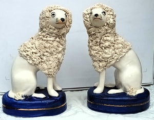 Pair Staffordshire Poodles 1a AA