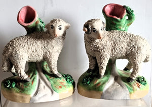 Pair Staffordshire Sheep 1b