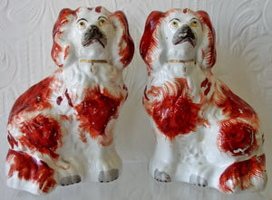 Pair Staffordshire Spaniels 7