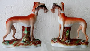 Pair Staffordshire Whippets Ha2623 Ha2624
