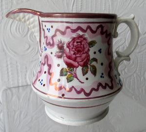 Pink Lustre Rose 1