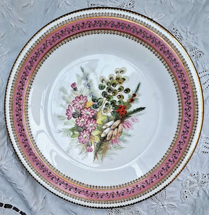 Antique Victorian Royal Worcester Porcelain Botanical Dessert Plate