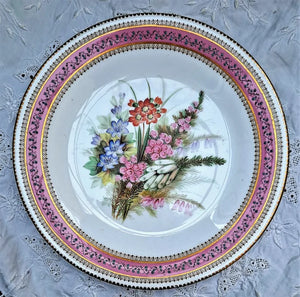 Antique Victorian Royal Worcester Porcelain Botanical Dessert Plate