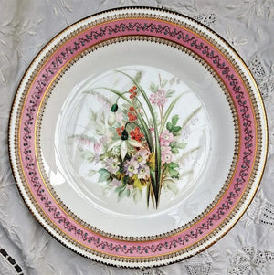Antique Victorian Royal Worcester Porcelain Botanical Dessert Plate