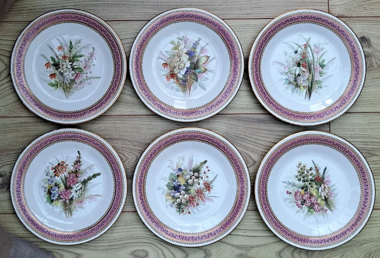 Antique Victorian Royal Worcester Porcelain Botanical Dessert Plate
