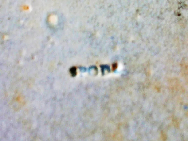 Antique Georgian Blue & White Transfer 