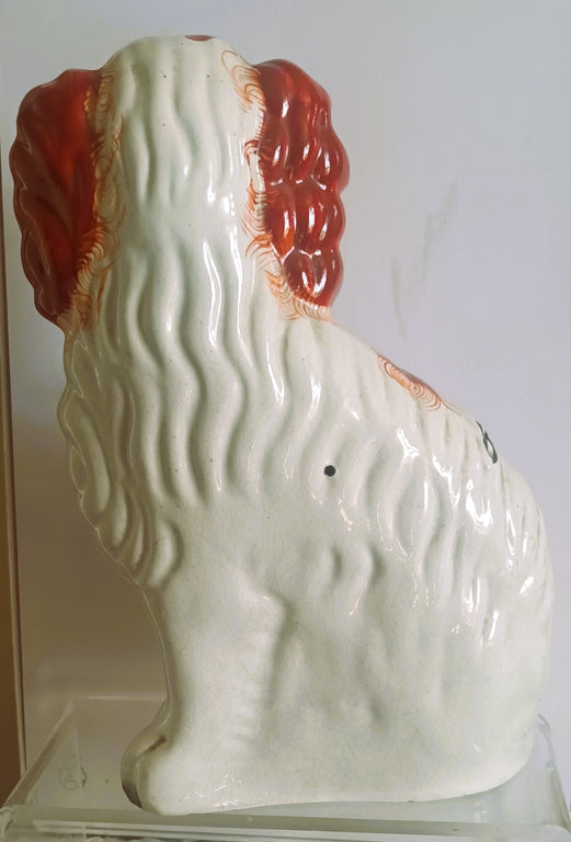 Staffs spaniel No. 2 1c