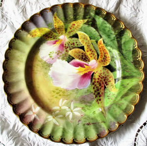 Porcelain Cabinet Dish ~ "Orchid ~ Trichocentrum Tigrinum"