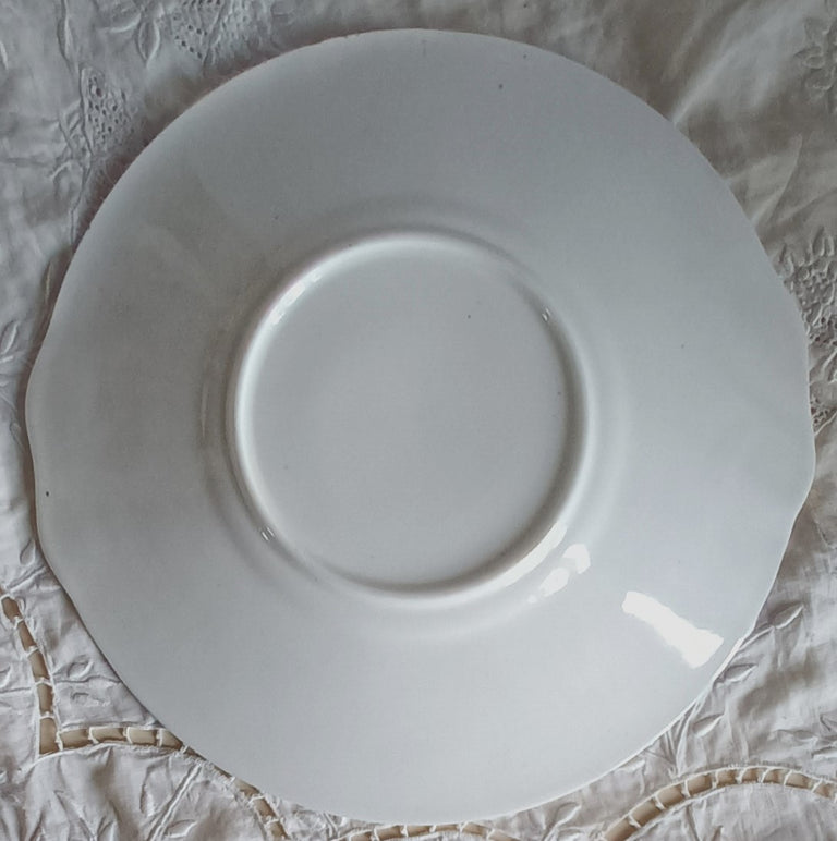 Antique Victorian Gaudy Welsh 