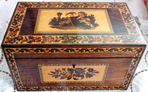 Antique Victorian Tunbridge Ware Tea Caddy ~ Hollamby