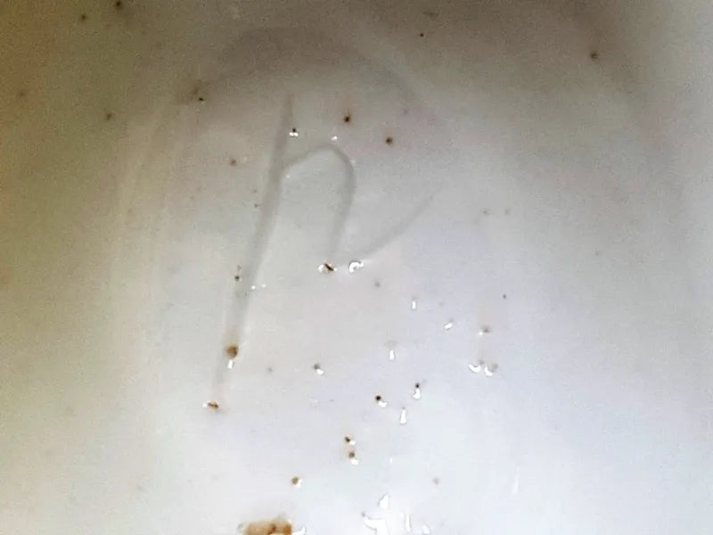 Antique English Georgian Porcelain Vase