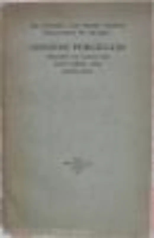 V and A Chinese Porcelain